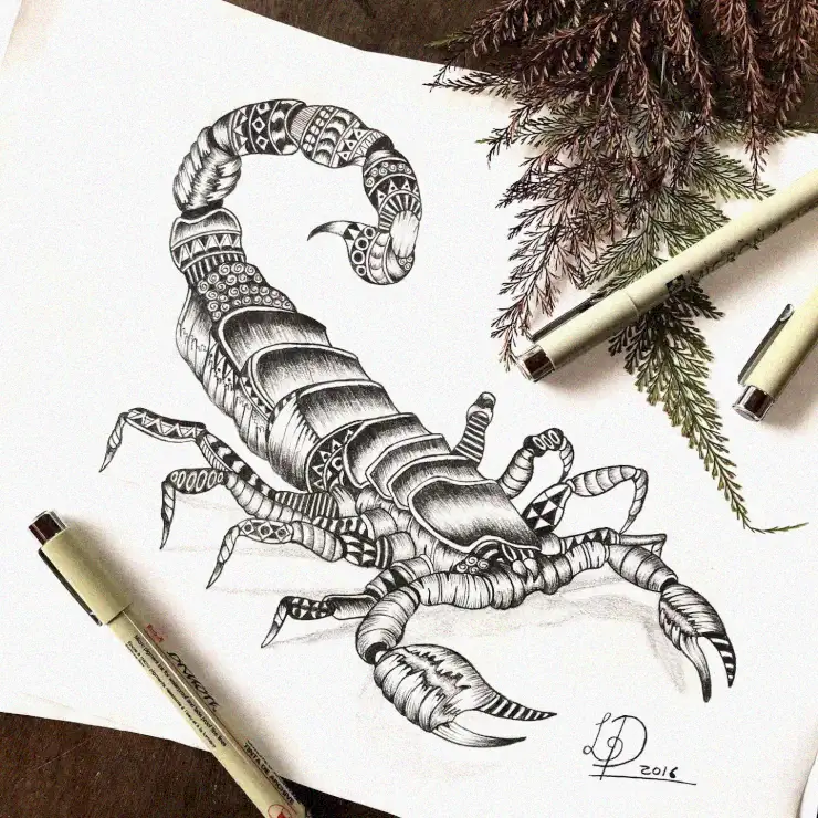 15+ Spooky Scorpion Drawings to Inspire You