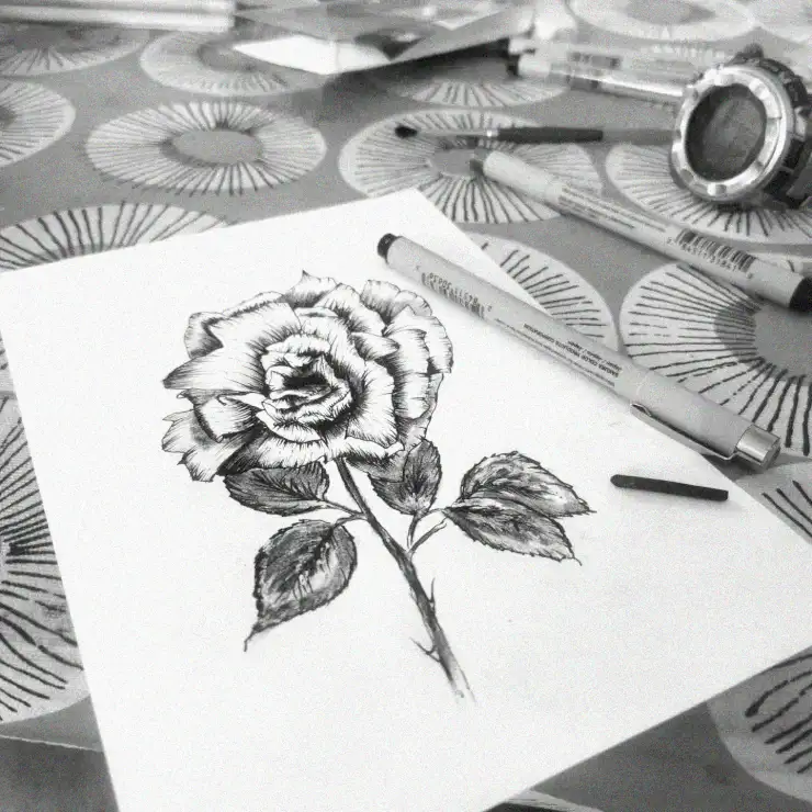 25 Charming Ideas for your next Rose Pencil Drawings