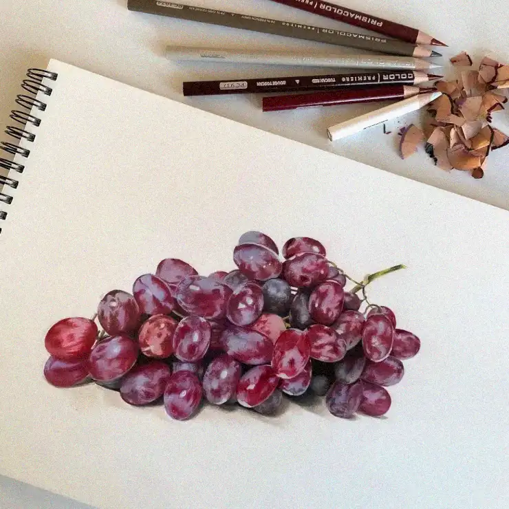 20+ Stunning Creations of Realistic Fruit Drawings to Inspire Your Artistic Journey