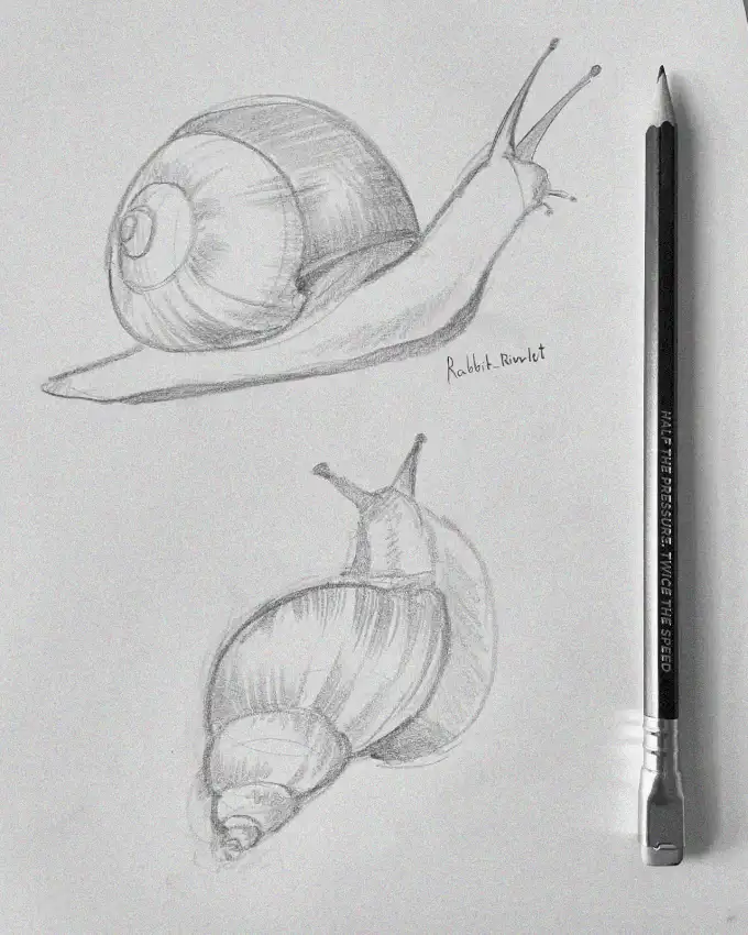 30 Inspiring and Easy Pencil Drawing Ideas To Unleash Your Creativity