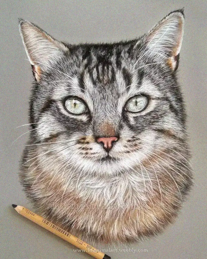 25+ Stunning Examples of Realistic Cat Face Drawings That Will Inspire Your Artistry