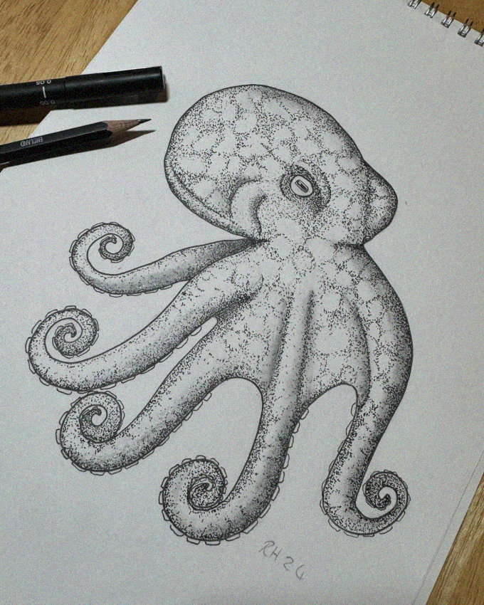 25+ Intriguing Inspirations to Elevate Your Octopus Drawings
