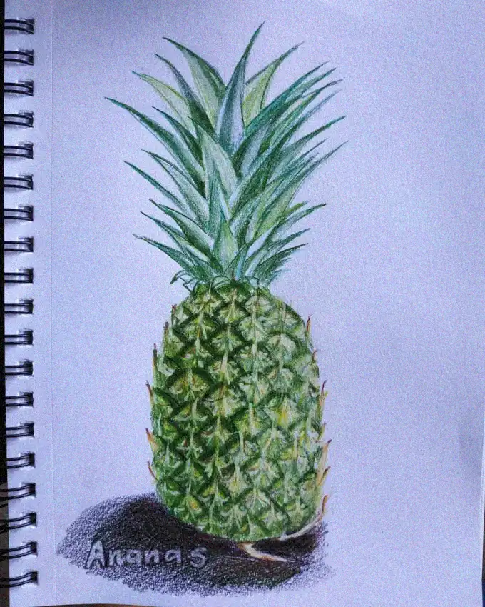 Ananas Inscribed Beneath Pineapple Sketch