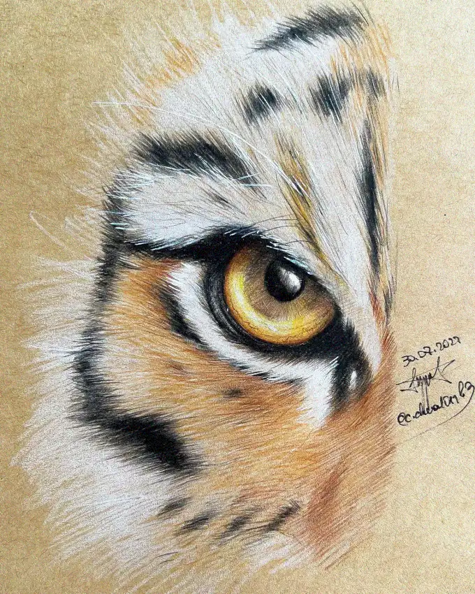 Tiger's Eye: A Textured Pencil Journey