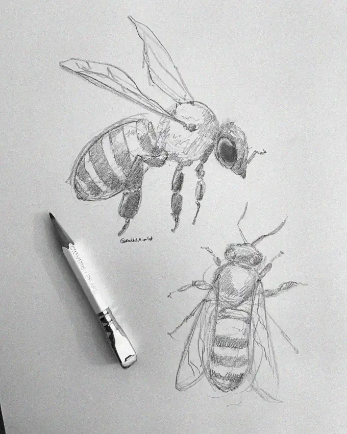 Sketching Bees on Textured Parchment