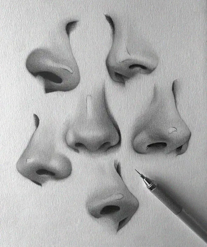 Artistry in Noses: A Sketch Study