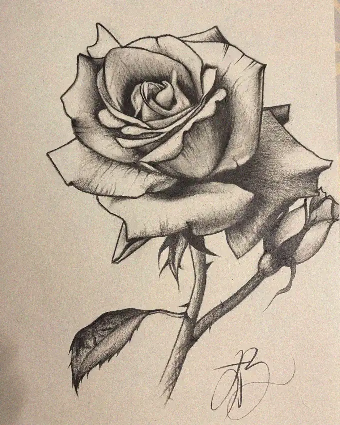 Shared Beauty: A Signed Rose Portrait