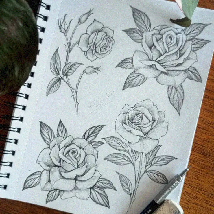 Artistic Botanical Study in Roses