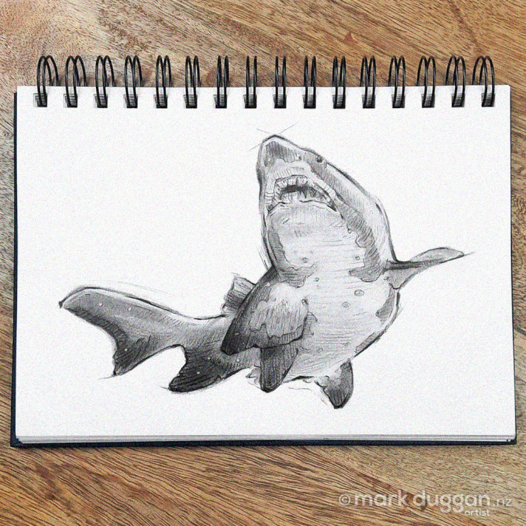 Sketchbook Shark on a Wooden Canvas