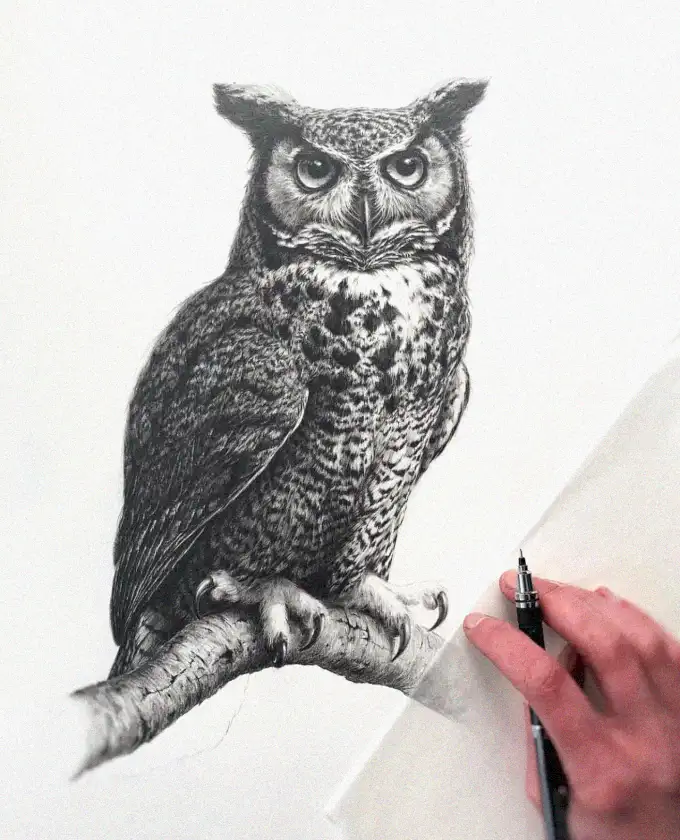 Sketching the Nocturnal Watcher