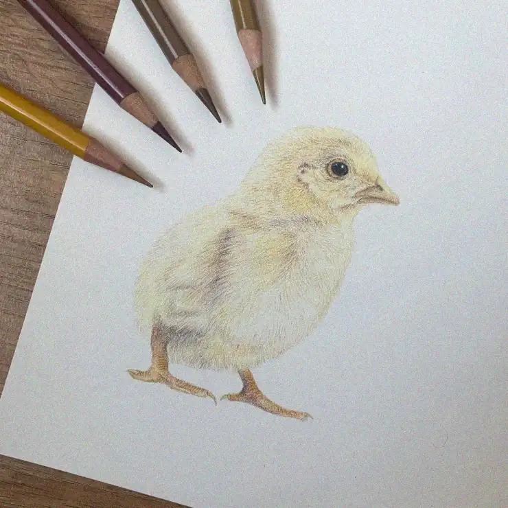 Chick Amidst Colorful Pencil Landscape