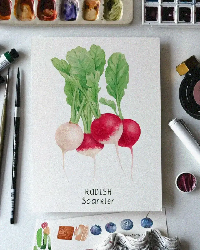 Watercolor Wonders with Radish Sparkler