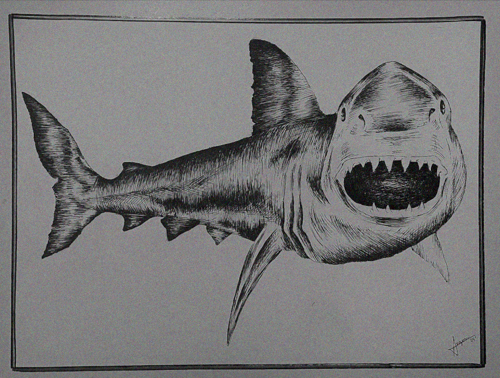 Dominant Shark in Monochrome Mastery