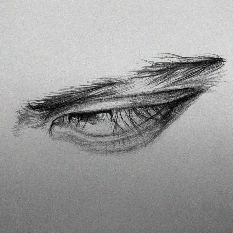 Realistic Pencil Sketch of a Human Eye