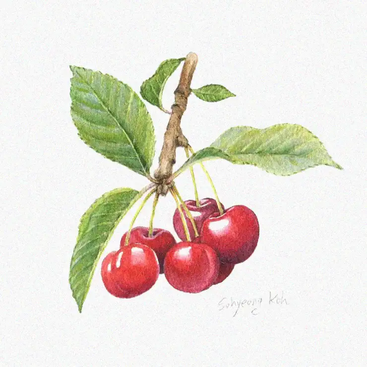 Cherry Cluster's Lifelike Detail