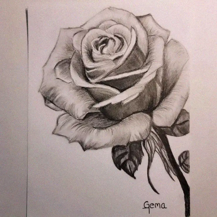 Shaded Rose Masterpiece by Gema