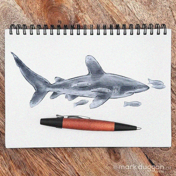 Undersea Sketch Immortalizing Marine Life