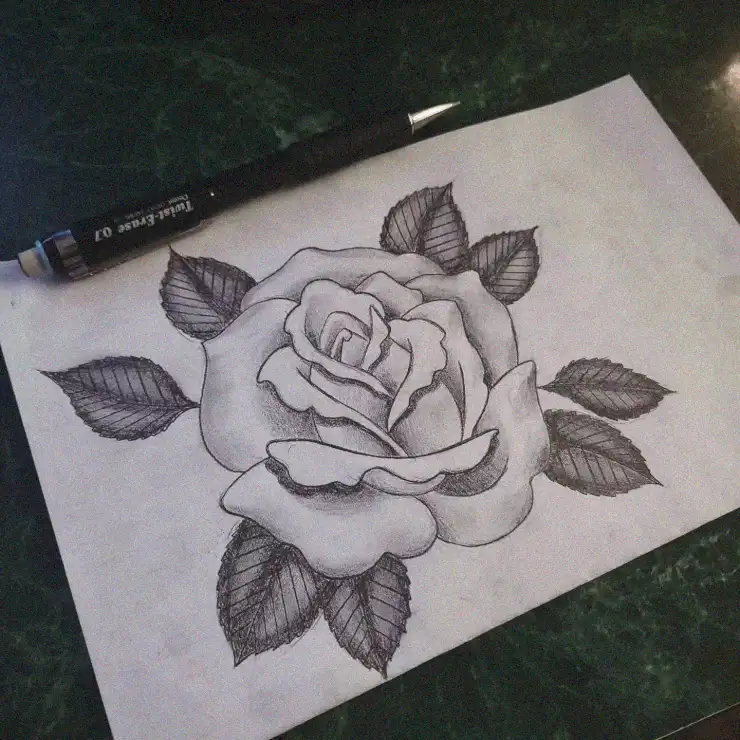 Rose Sketch Elegance on Marble Canvas