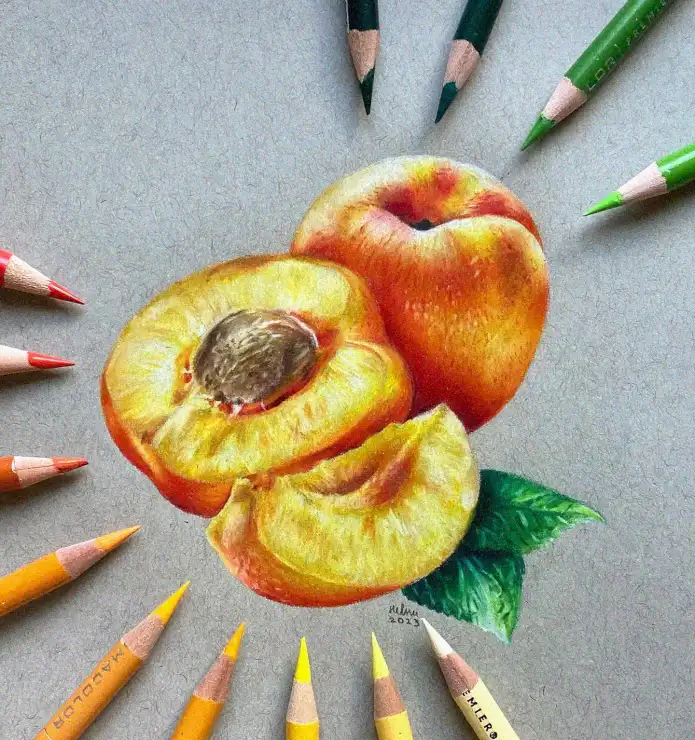 Artistic Peach Study in Colored Pencil