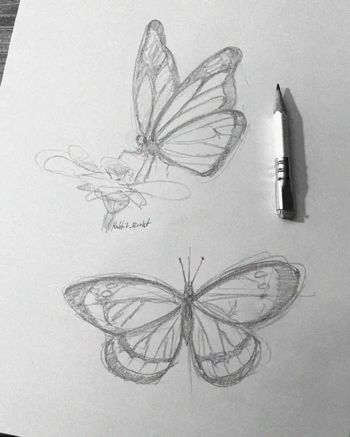 Butterflies Whispering On Sketch Paper