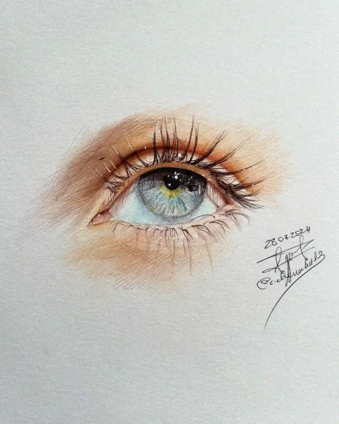 An Intricate Glimpse into the Human Eye