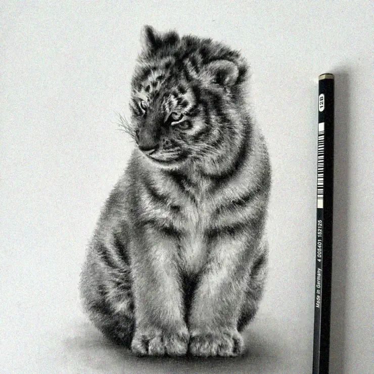 Tiger Cub Portrait in Graphite Elegance