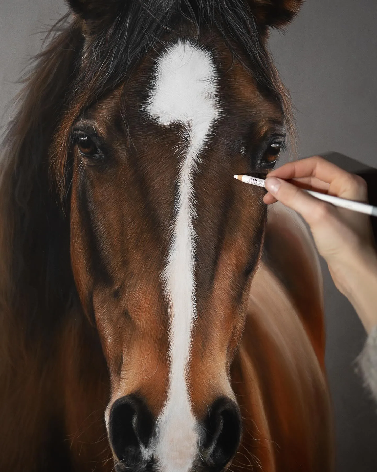 Brushstrokes of Equine Realism