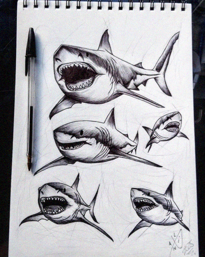 Sketching Furious Sharks in Monochrome