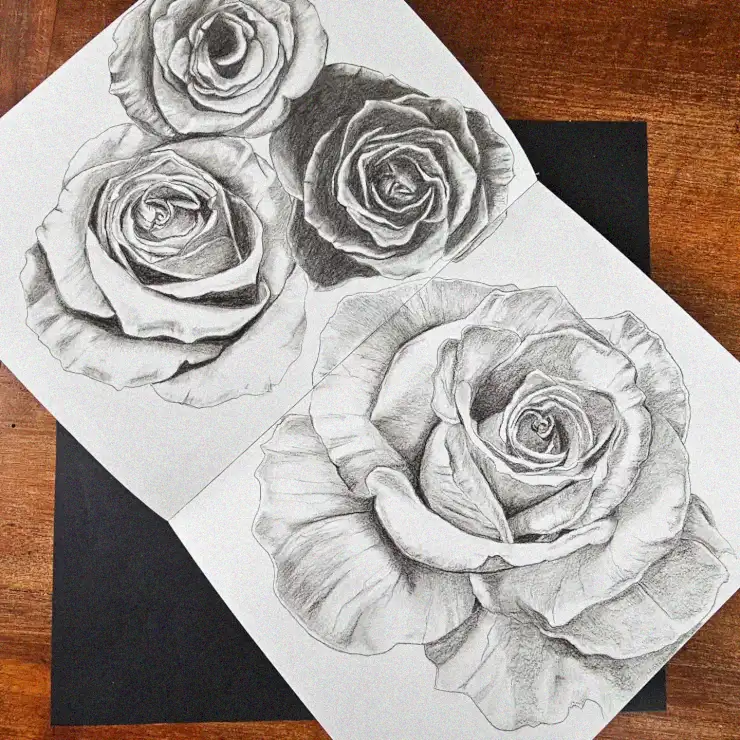 Triad of Roses in Pencil Grays