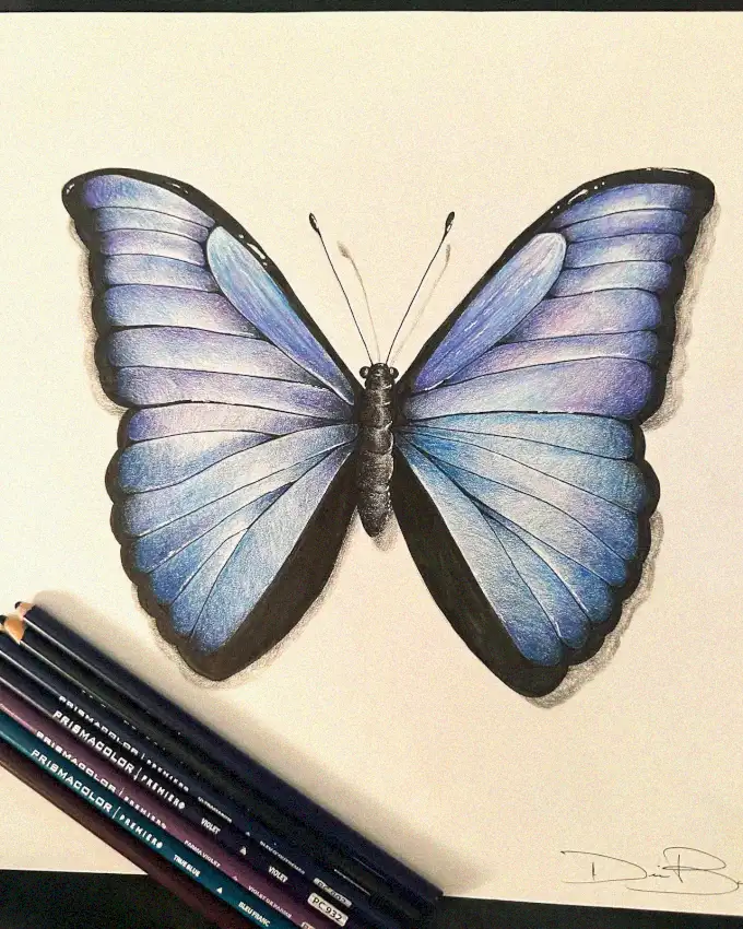 Butterfly Brilliance in Blue Medium