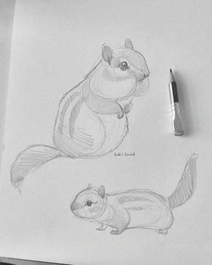 Chubby Chipmunks Sketched with Love