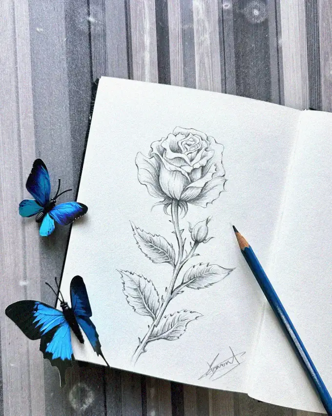 Rose Sketch Amidst Blue Butterflies