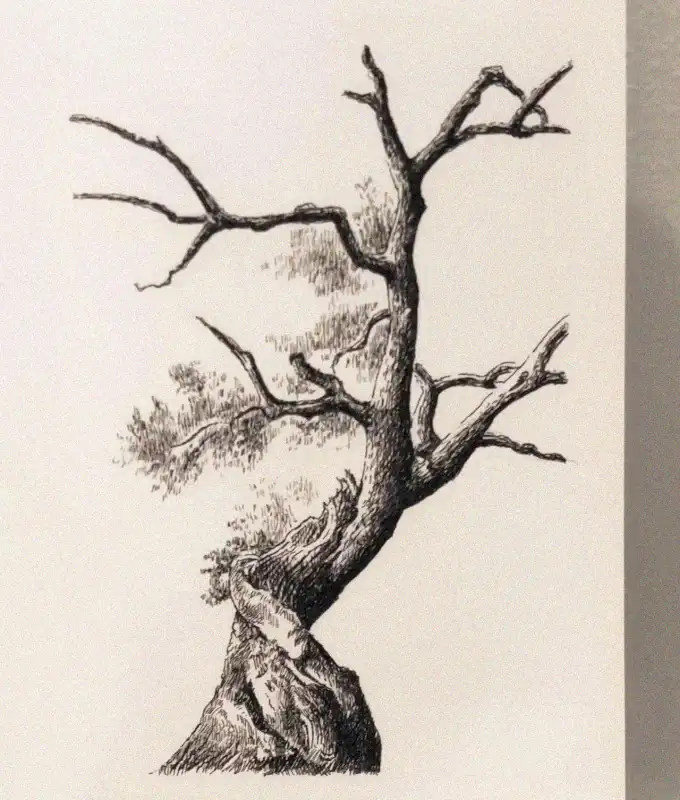 Gnarled Majesty in Pen and Ink