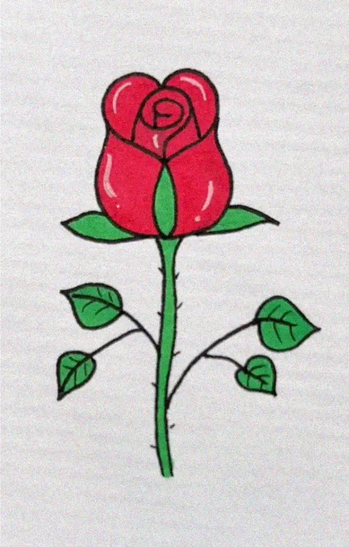 Hand-Drawn Red Rose on White