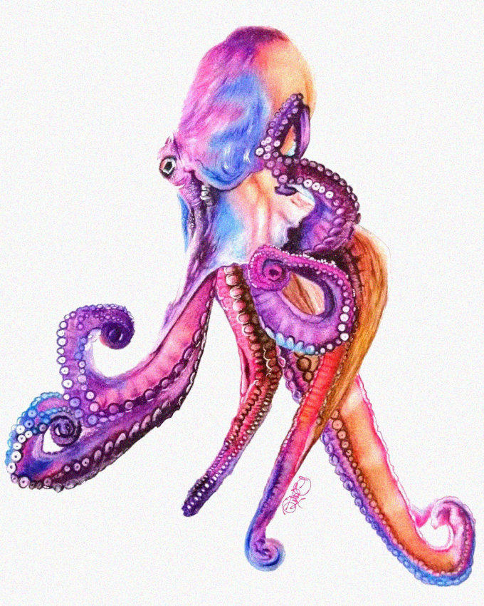 Vibrant Octopus - A Study in Color