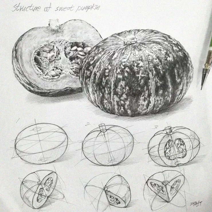 Unveiling the Anatomy of Sweet Pumpkins