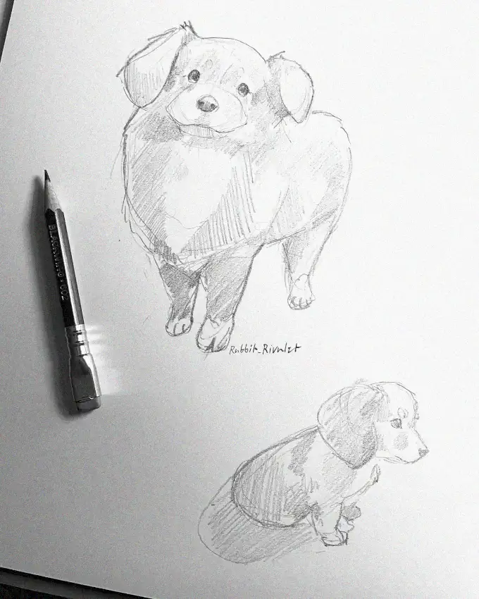 Chubby Canines in Pencil Perspective