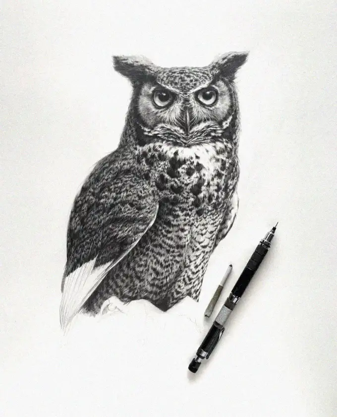 Twilight Owl through Skilled Draftsmanship