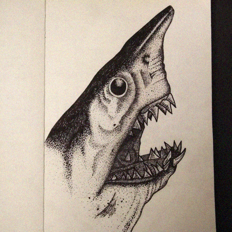 Fierce Shark Portrait in Monochrome Sketch