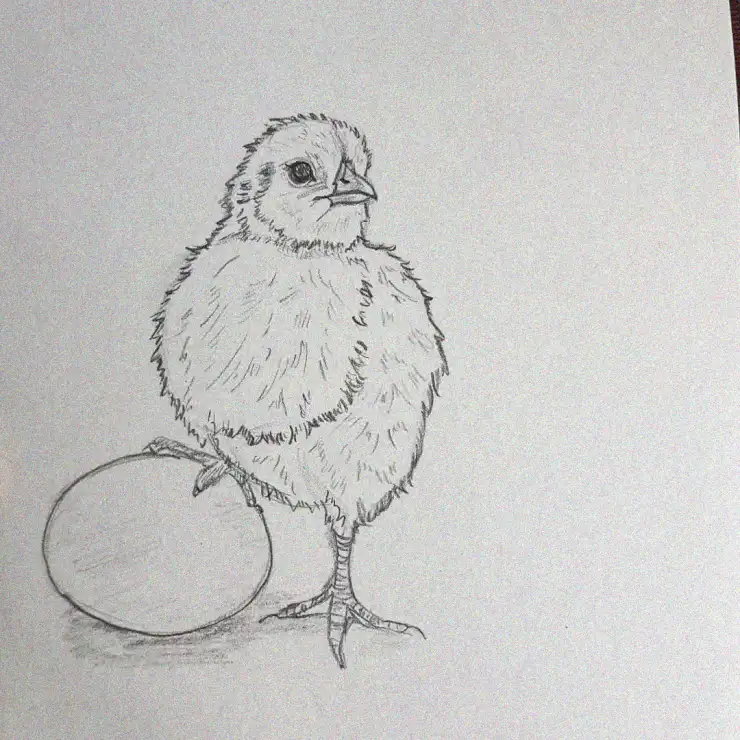 Fluffy Chick and the Mysterious Sphere