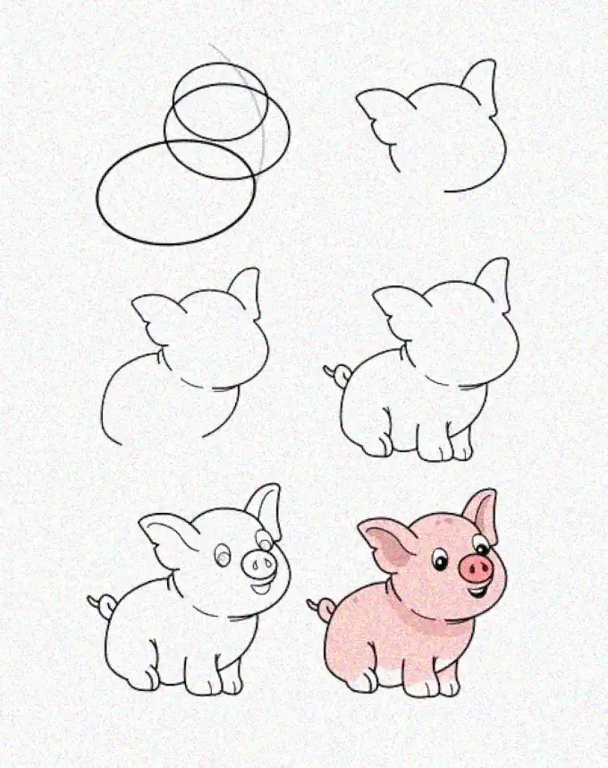 Drawing a Cartoon Pig from Scratch