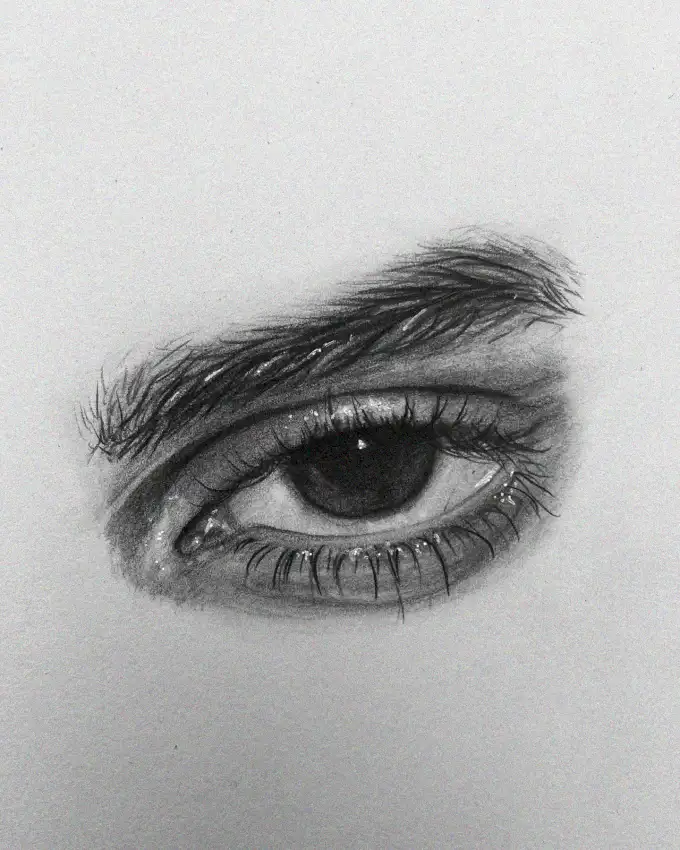 Adept Sketching of the Human Eye