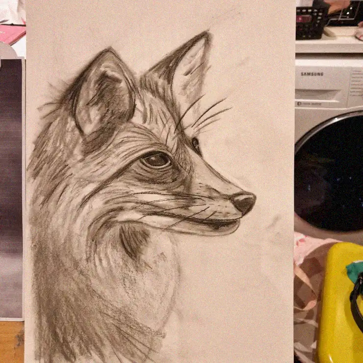 Fox Sketch Amidst Everyday Items