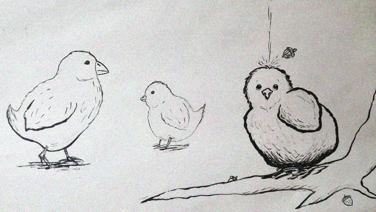 Curious Birds and the Dangling Spider