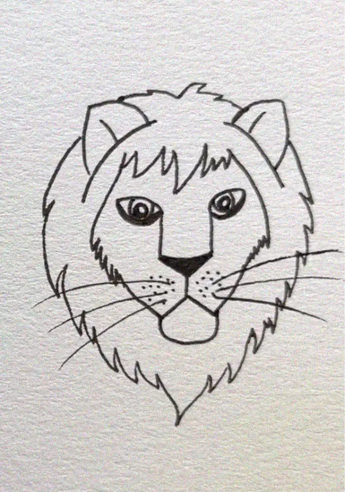 Sketch of a Majestic Lion's Face