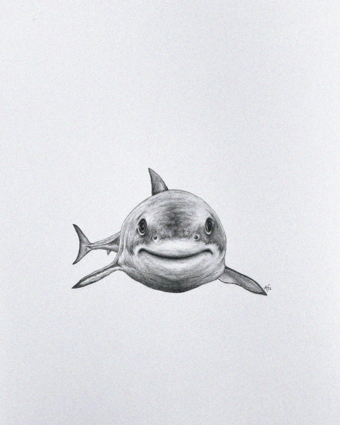 Smiling Shark in Detailed Pencil Art