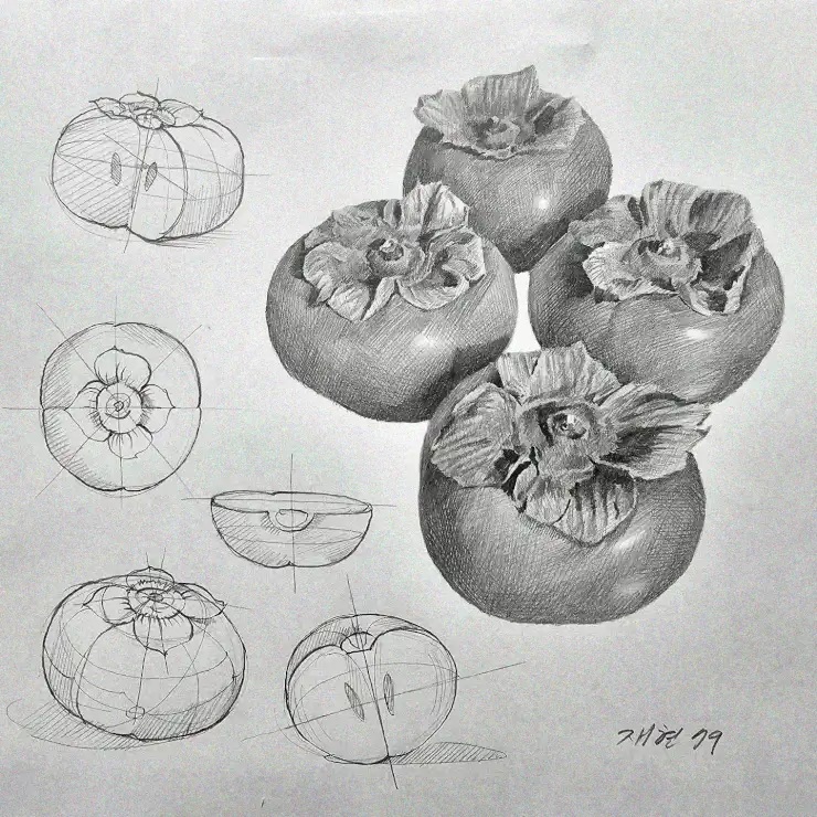 Pencil Sketch Brilliance of Persimmons
