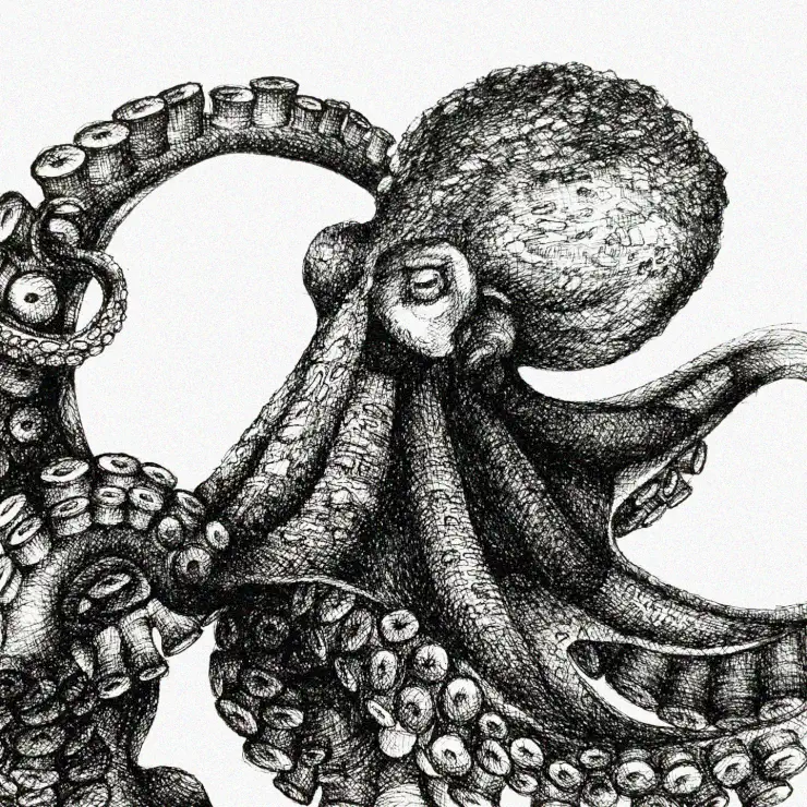 Octopus In Depth: A Monochrome Study