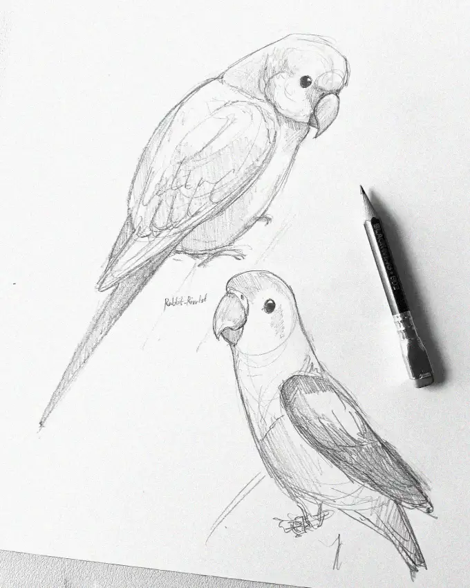 Parrots and Pencil on Textured Canvas