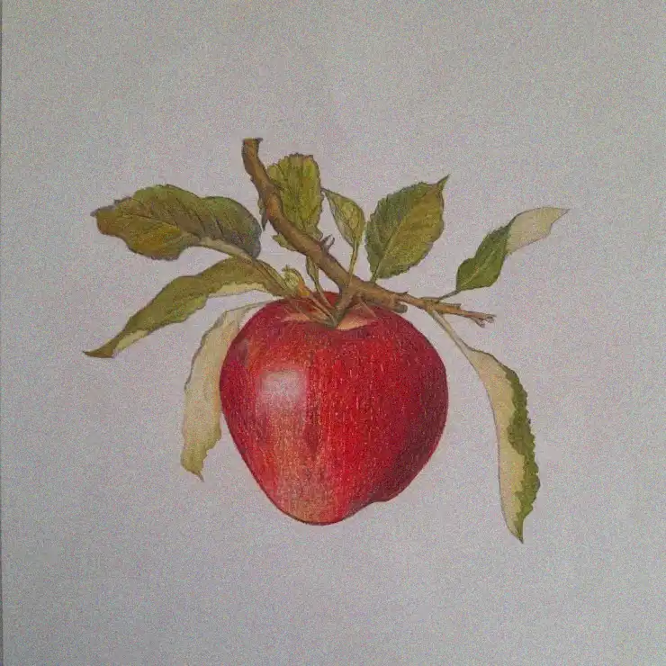 Vibrant Apple and Its Green Companions
